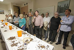 Festa do Magosto del Centro Galego Nós Sabadell 